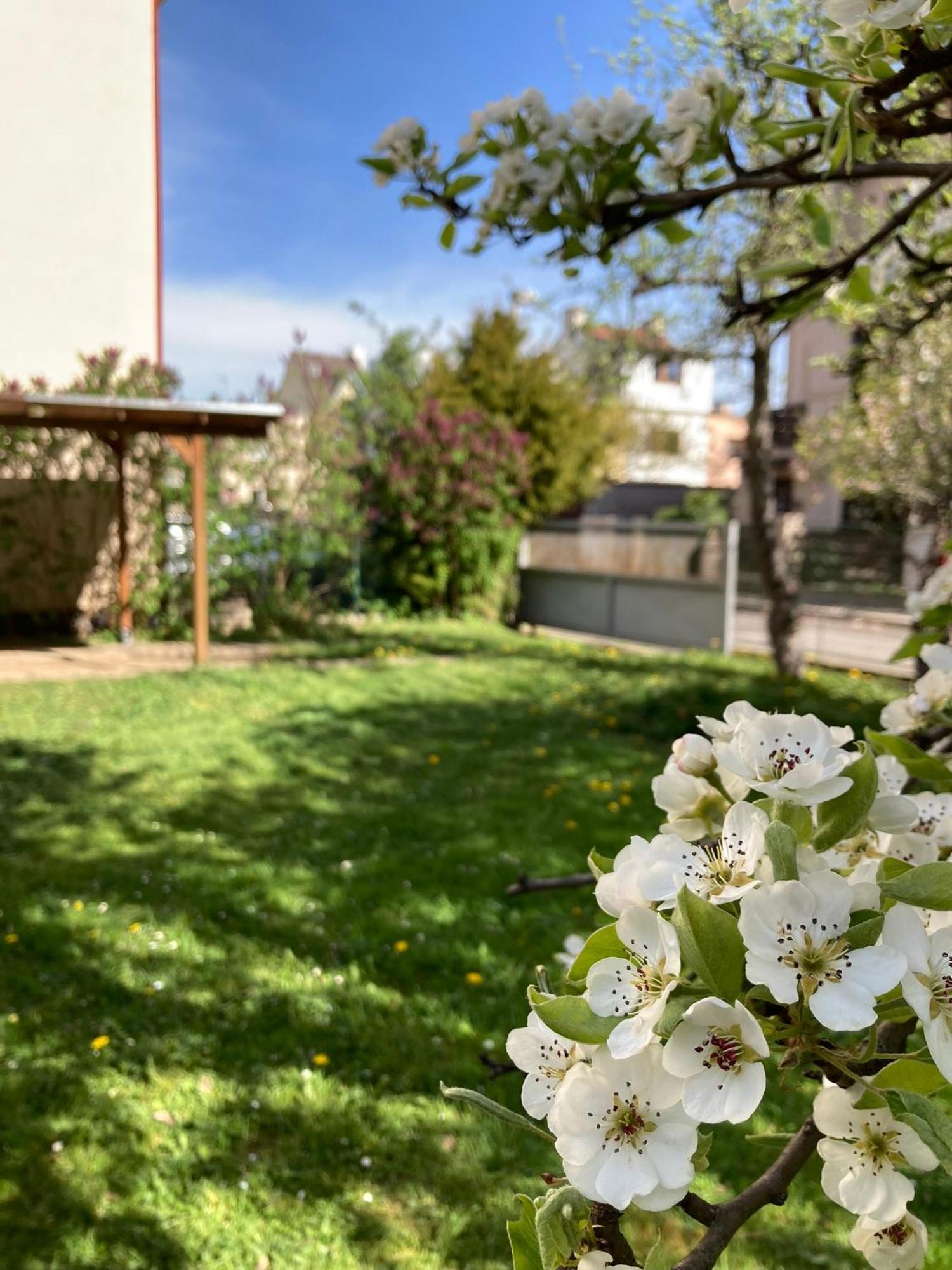 Spacious Apartment - Free Parking! Прага Экстерьер фото